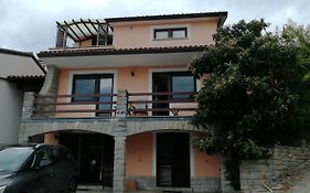 Apartmaji Z Fizine